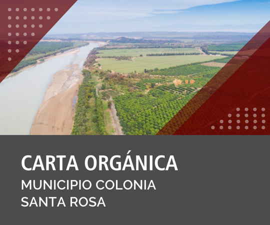 Carta Orgánica de Colonia Santa Rosa