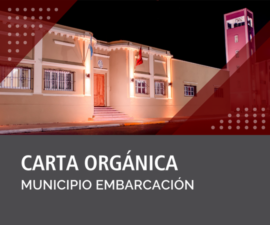 Carta Orgánica de Embarcación